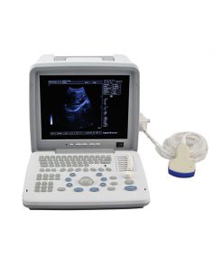 Portable LED screen ultrasound scanner