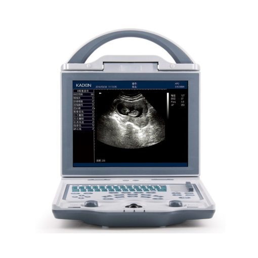 Human Ultrasound