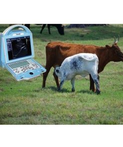 KX5600V Vet Ultrasound Machine